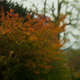 Image for article titled Shooting Challenge Freelensing Gallery 1